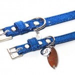 Blue Bling Modern Leather Collar
